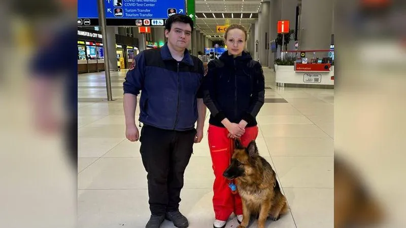 Выяснилось, как собаки помогали спасателям искать людей под завалами в Турции