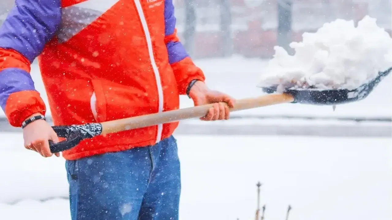 МедиаБанк Подмосковья/Данила Кирьянов