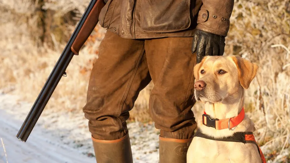 Фото: istockphoto.com