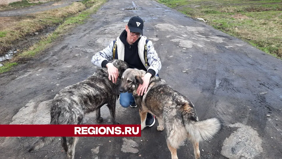 Фото: Михаил Закурдаев