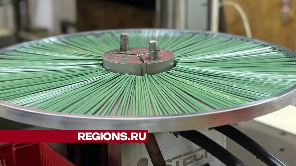 Фото: Светлана Плотникова