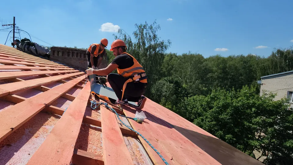 Фото: Валерия Тингаева