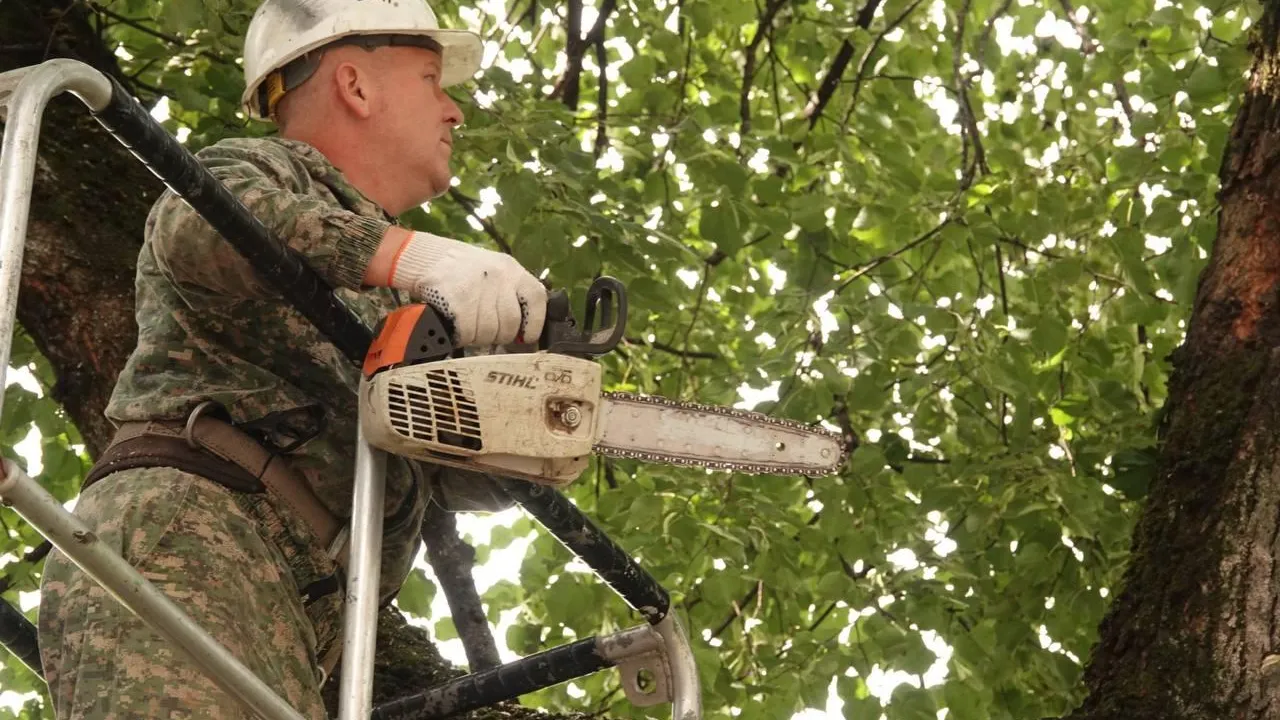 Дарья Леонова