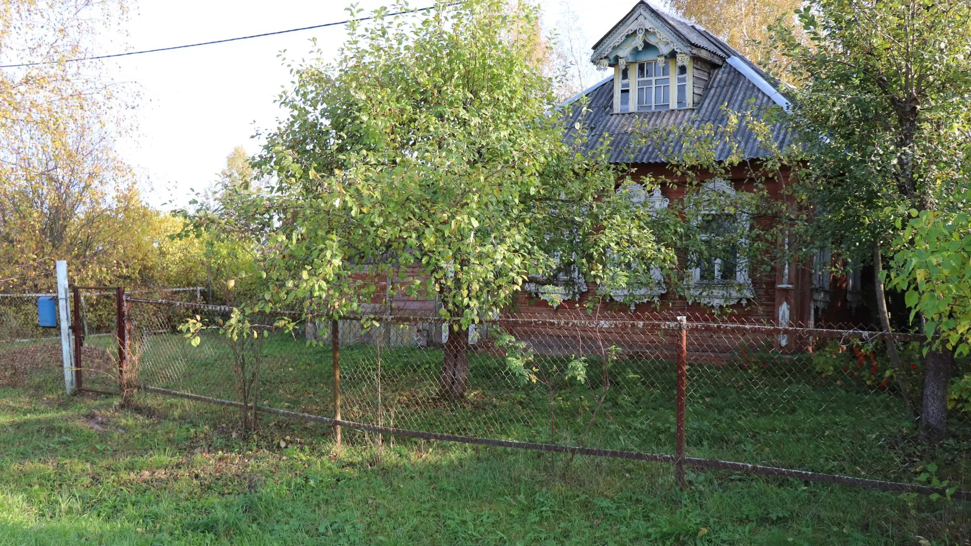 Фото: Василий Тремасов