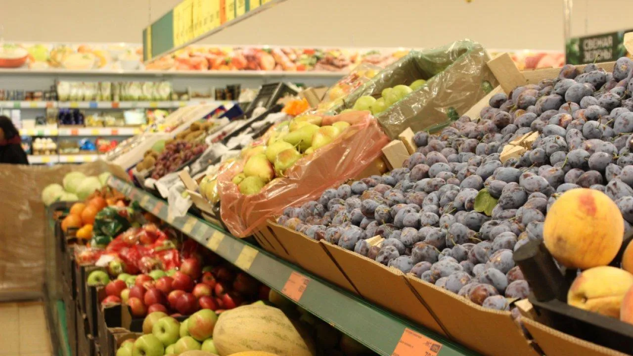 REGIONS/Анастасия Широкая