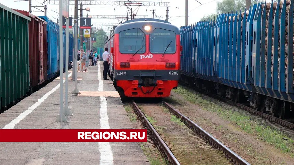 Фото: REGIONS/Василий Тремасов