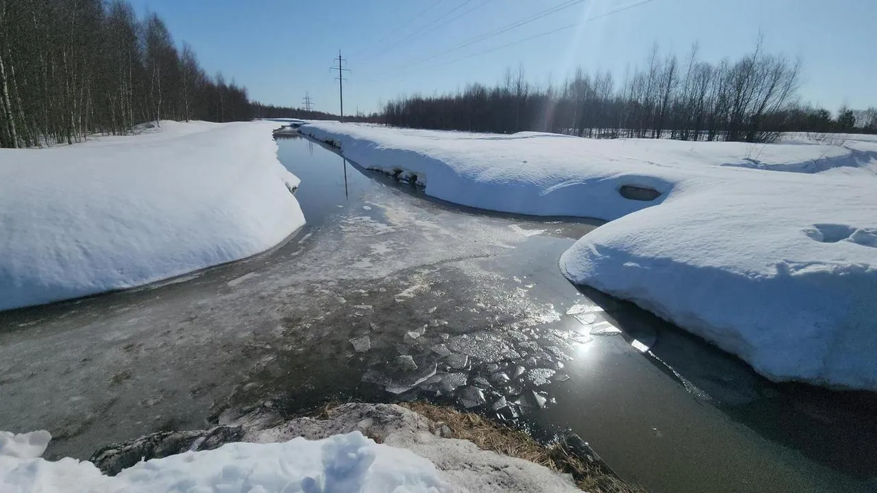 МедиаБанк Подмосковья/Анна Шолохова