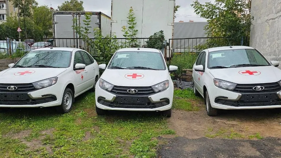 Фото: пресс-служба администрации г.о.Котельники