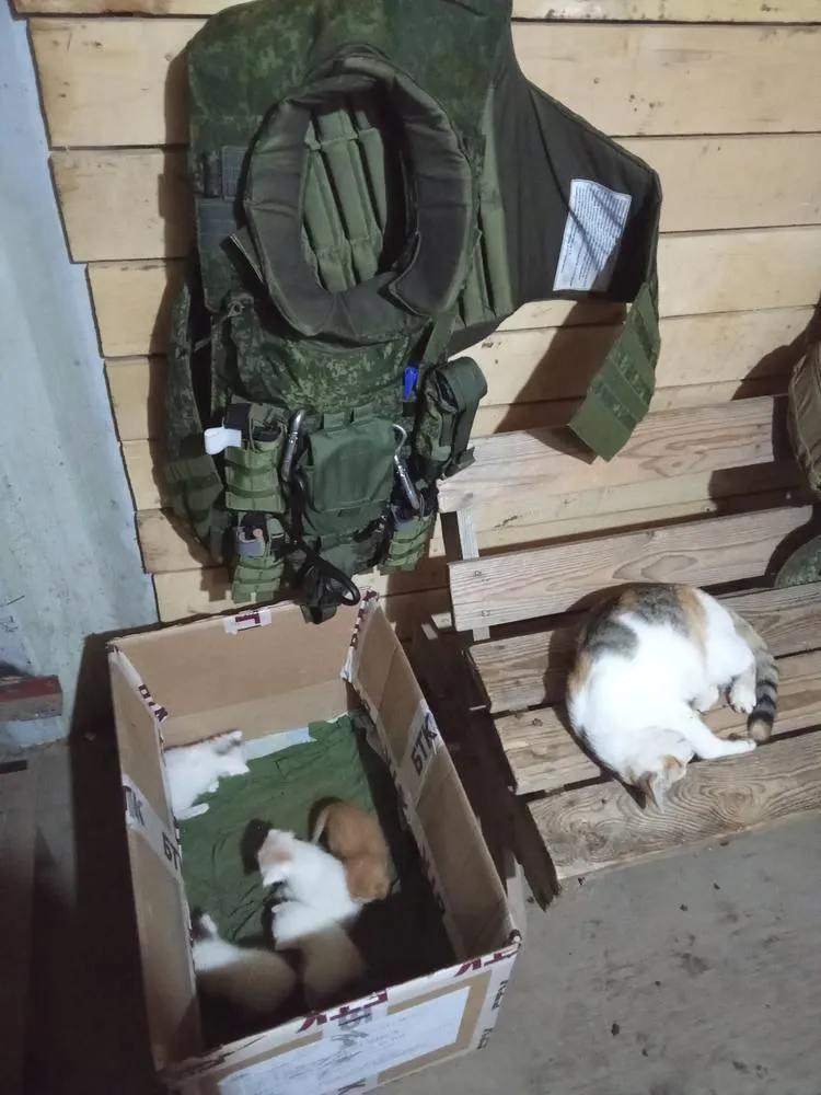 Фото: лотошинье.рф