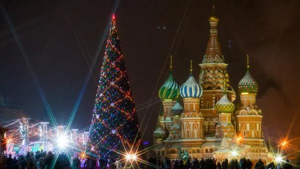 Главную елку страны срубят 16 декабря в Истринском районе