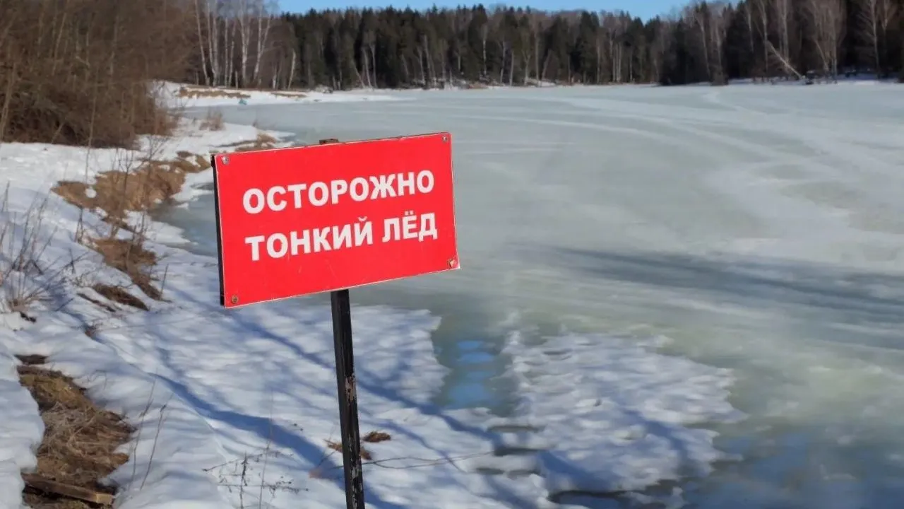 ГКУ МО «Мособлпожспас»