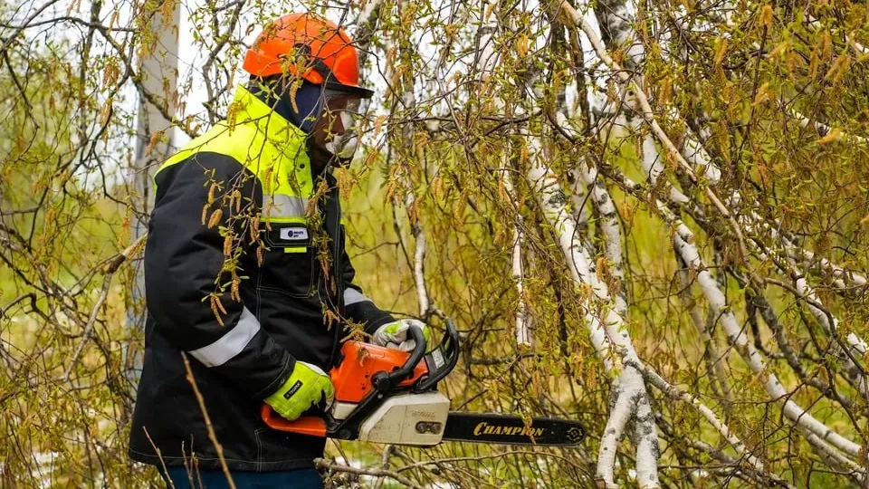 Фото: пресс-служба губернатора и правительства Московской области/Александра Степанова