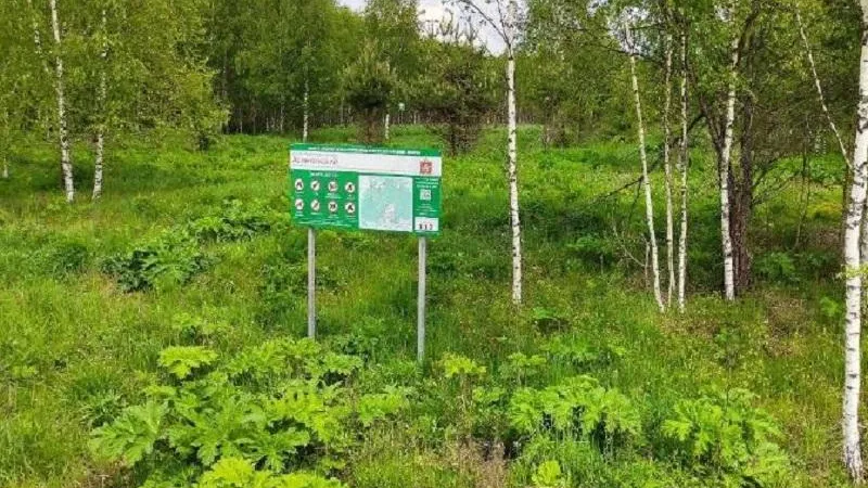 Минэкологии МО.