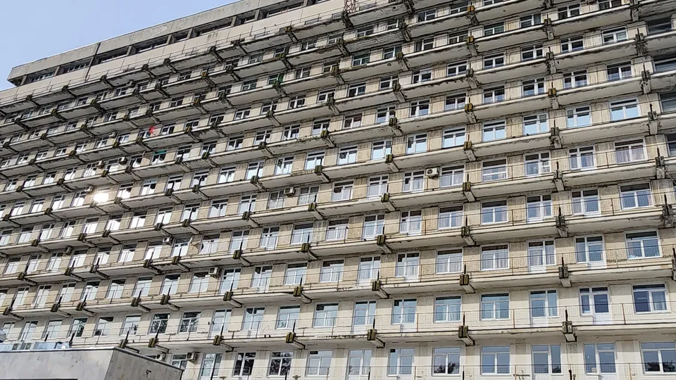 Фото: МедиаБанк Подмосковья/Дмитрий Павлов
