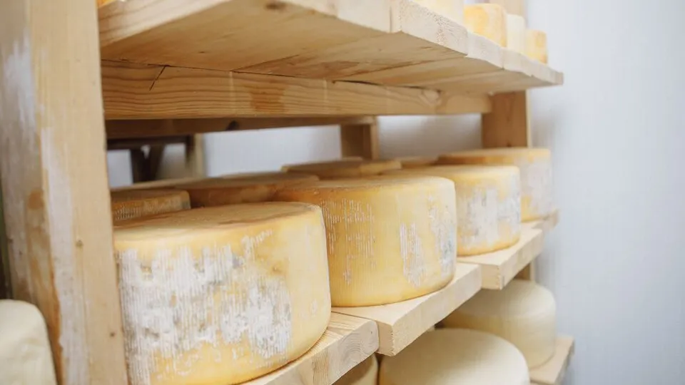 Фото: пресс-служба администрации Орехово-Зуевского округа