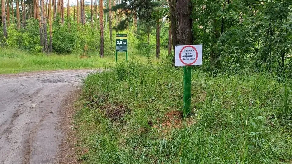 Фото: Комитет лесного хозяйства Московской области