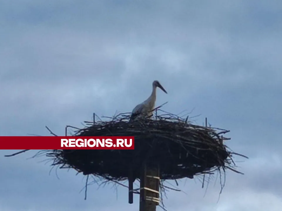 Фото: Владислав Мурашов