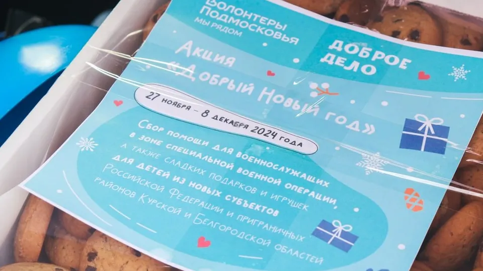 Фото: t.me/MMC_Ruza