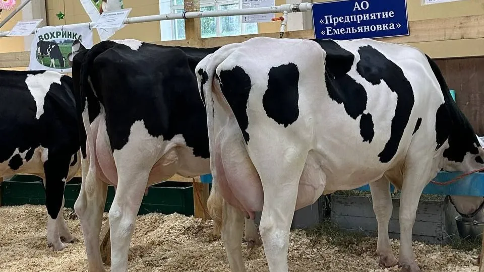 Фото: Агрохолдинг ОСП агро