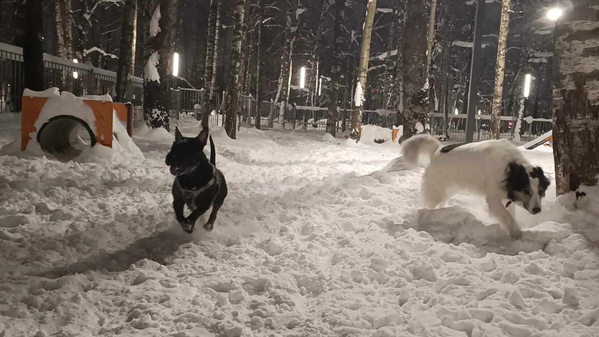 МедиаБанк Подмосковья/Екатерина Федосеева