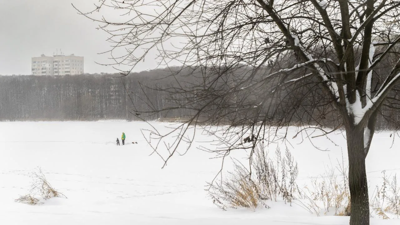 медиасток.рф