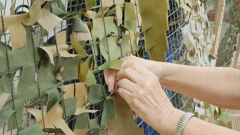 Фото: МедиаБанк Подмосковья/Андросова Юлия