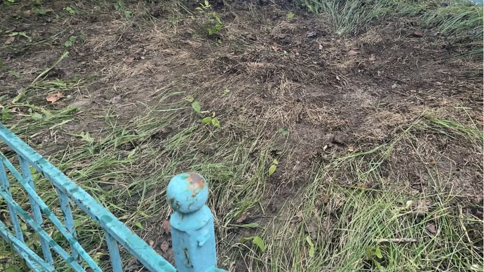 Фото: МЦУР Дзержинский