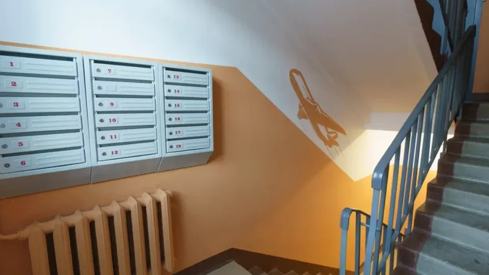 Фото: пресс-служба Администрации г.о. Домодедово