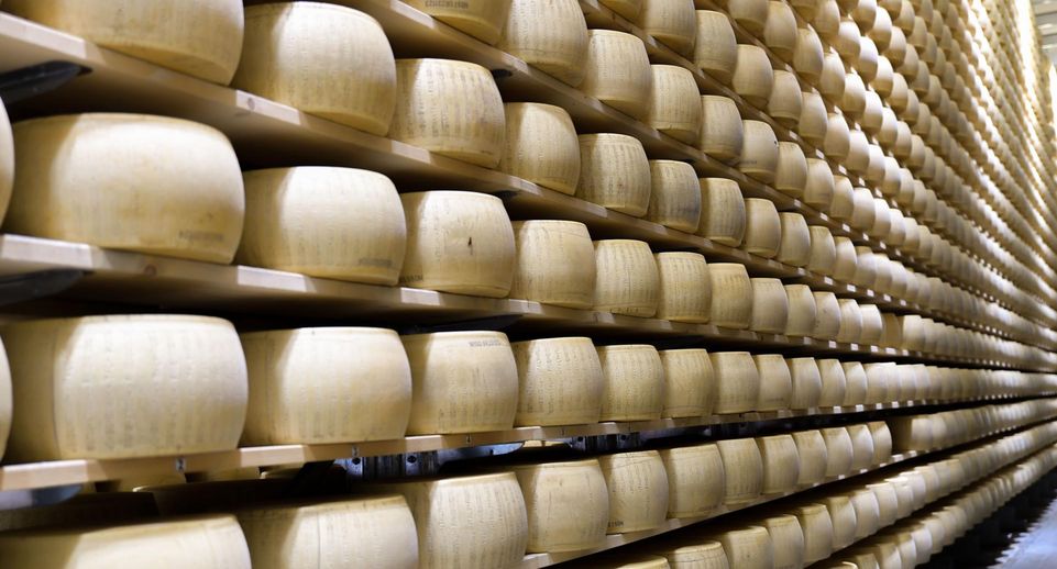 В Подмосковье построят завод по производству сыров и сухих молочных продуктов