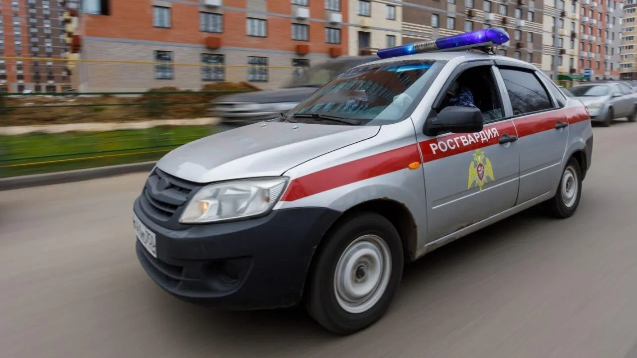 Фото: пресс-служба ГУ Росгвардии по Московской области