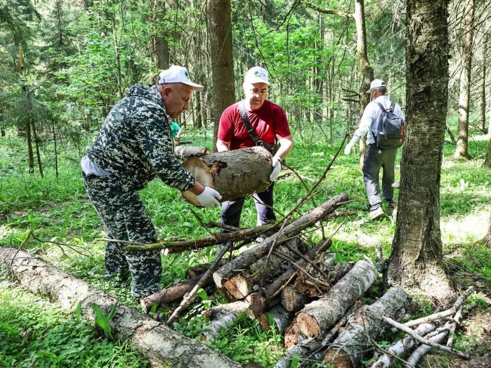 Фото: Комитет лесного хозяйства Московской области
