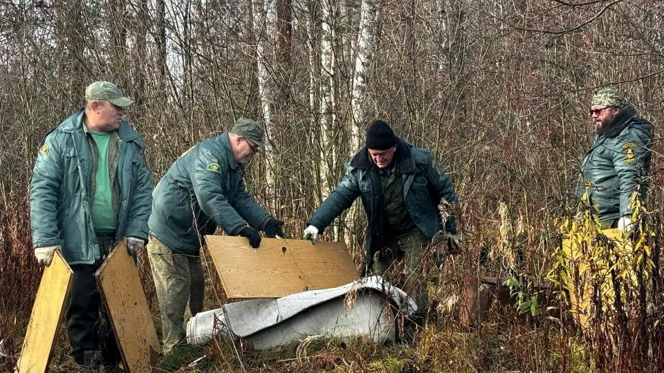 Фото: Комлесхоз МО