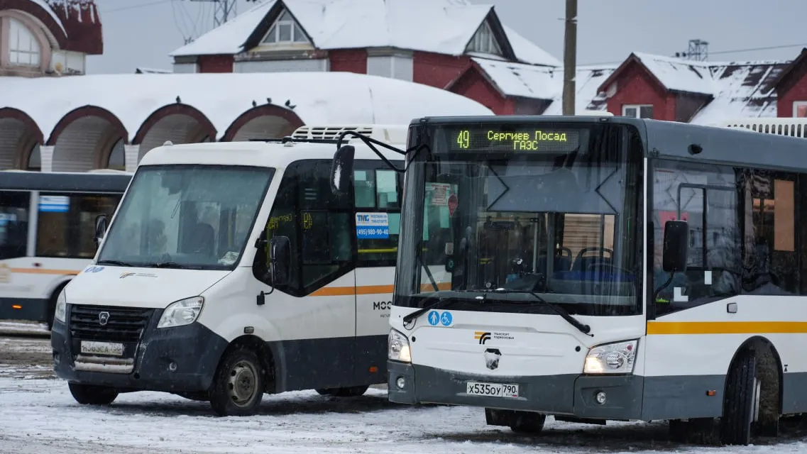 Фото: МедиаБанк Подмосковья/Кирилл Цибизов