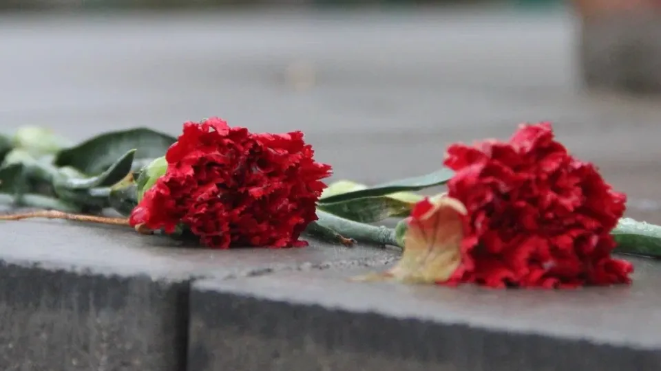 Фото: REGIONS/Василий Тремасов