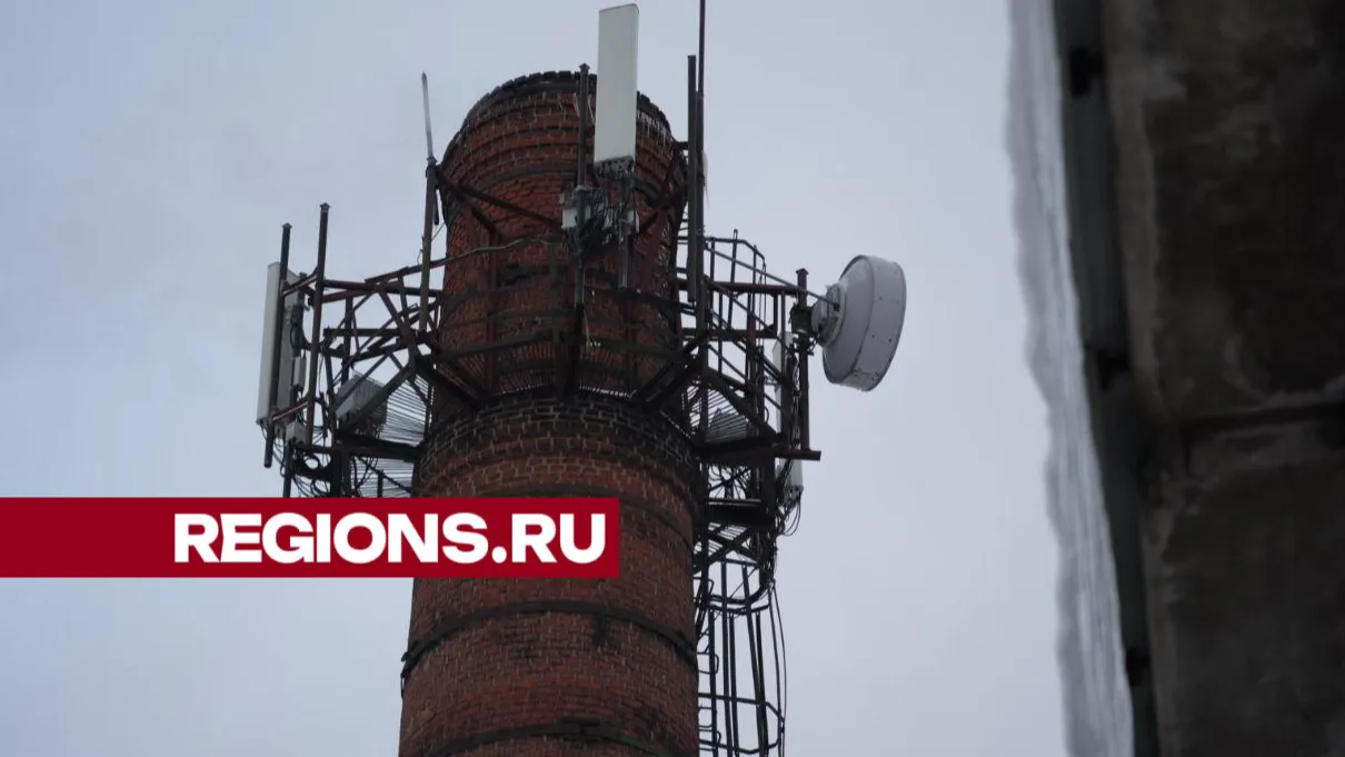 Фото: Дмитрий Зайчиков