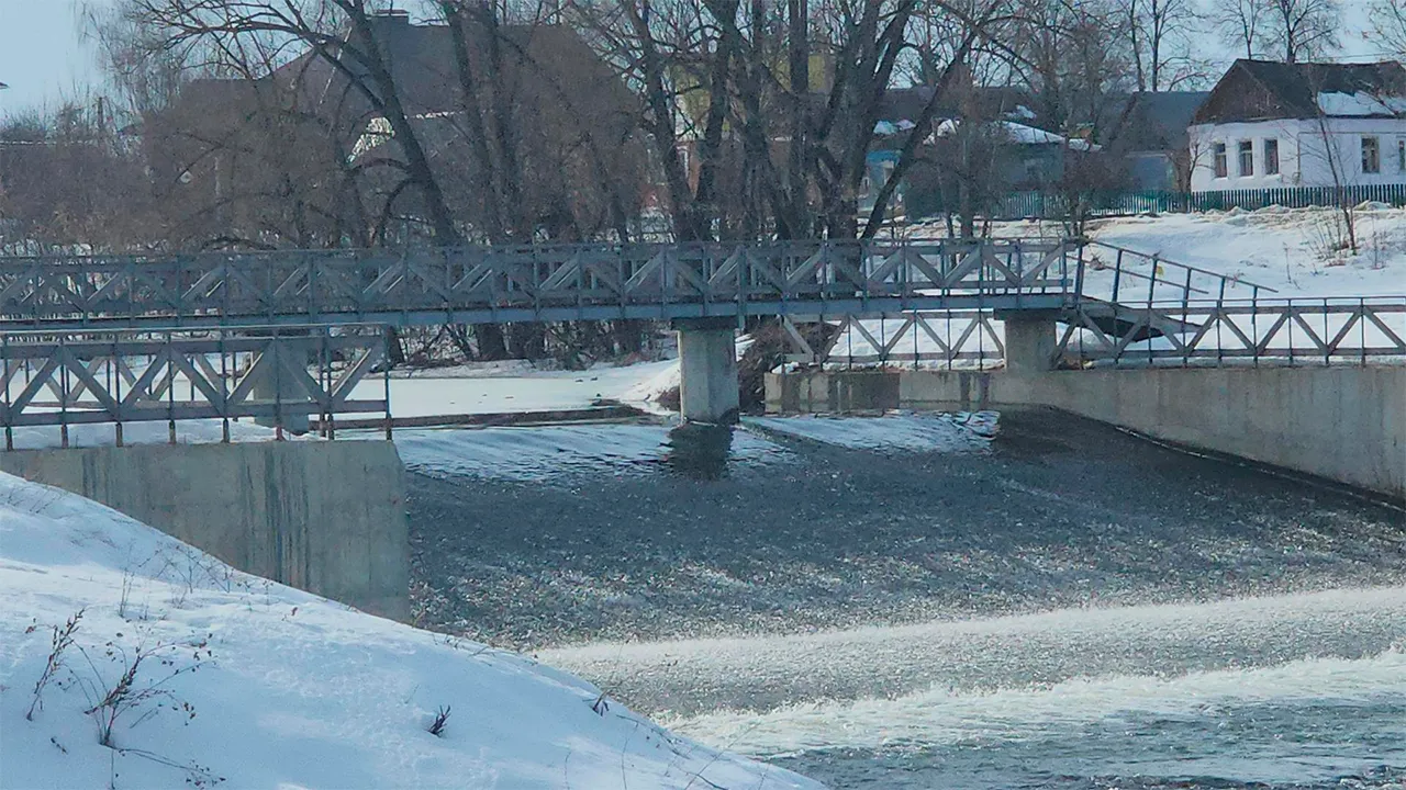 Маргарита Орлова