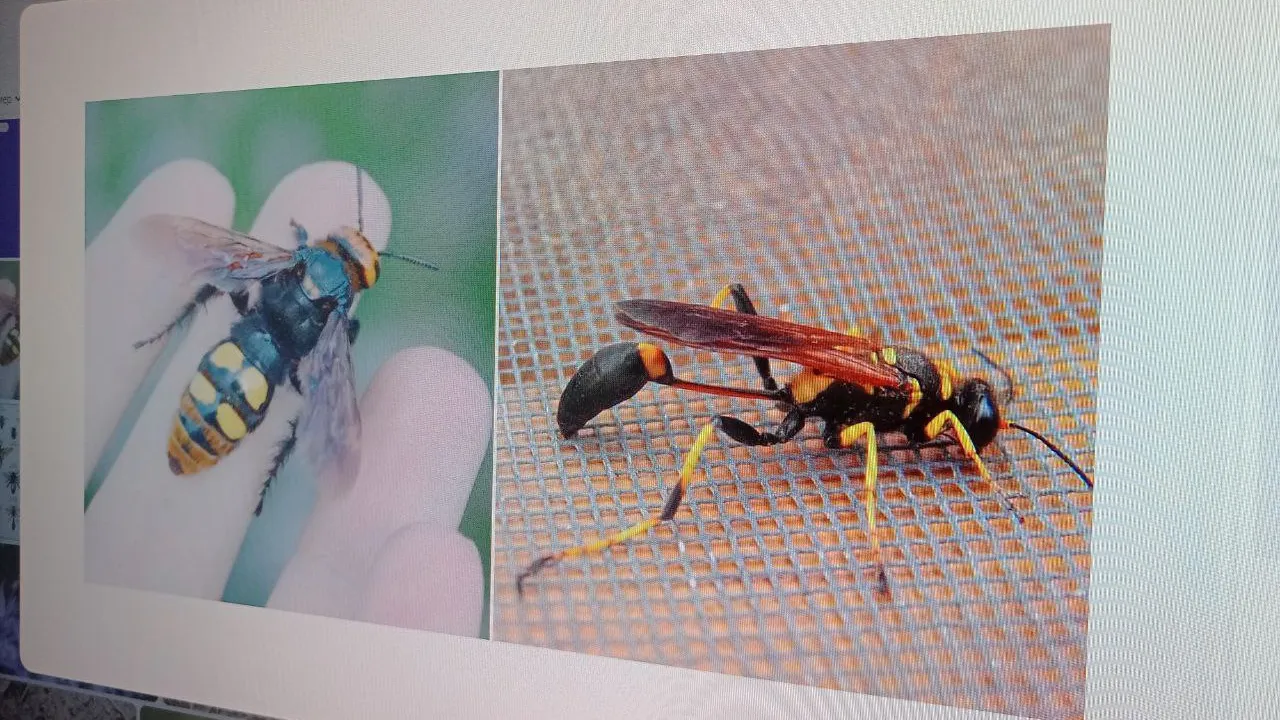 Фото: Елена Григорьева