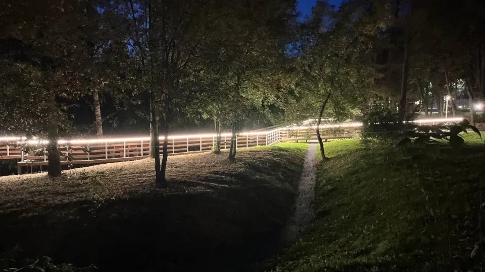 Фото: Администрация городского округа Истра