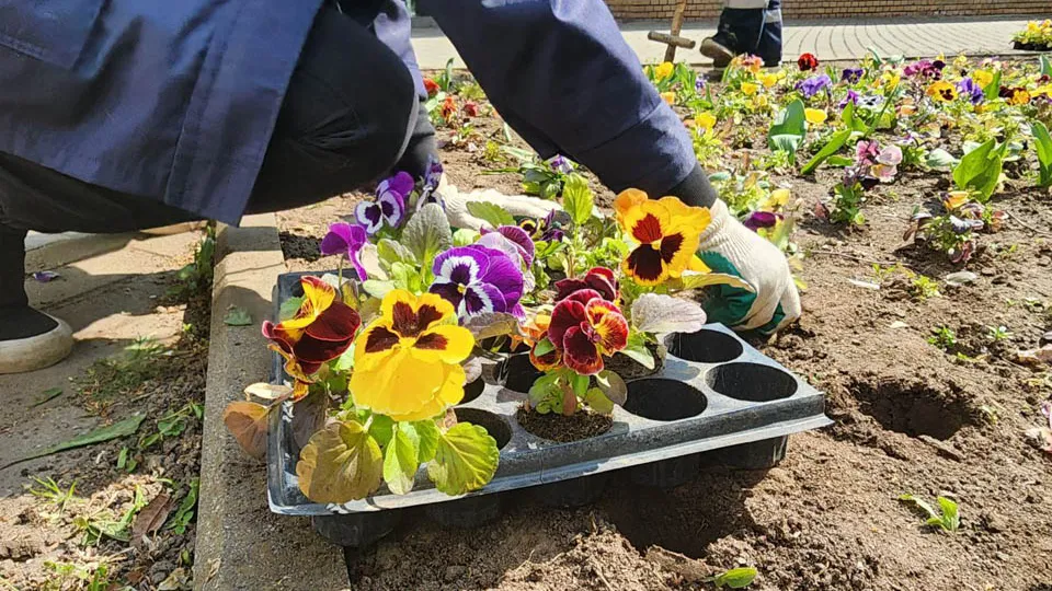 Фото: Медиабанк Подмосковья / Мария Панина