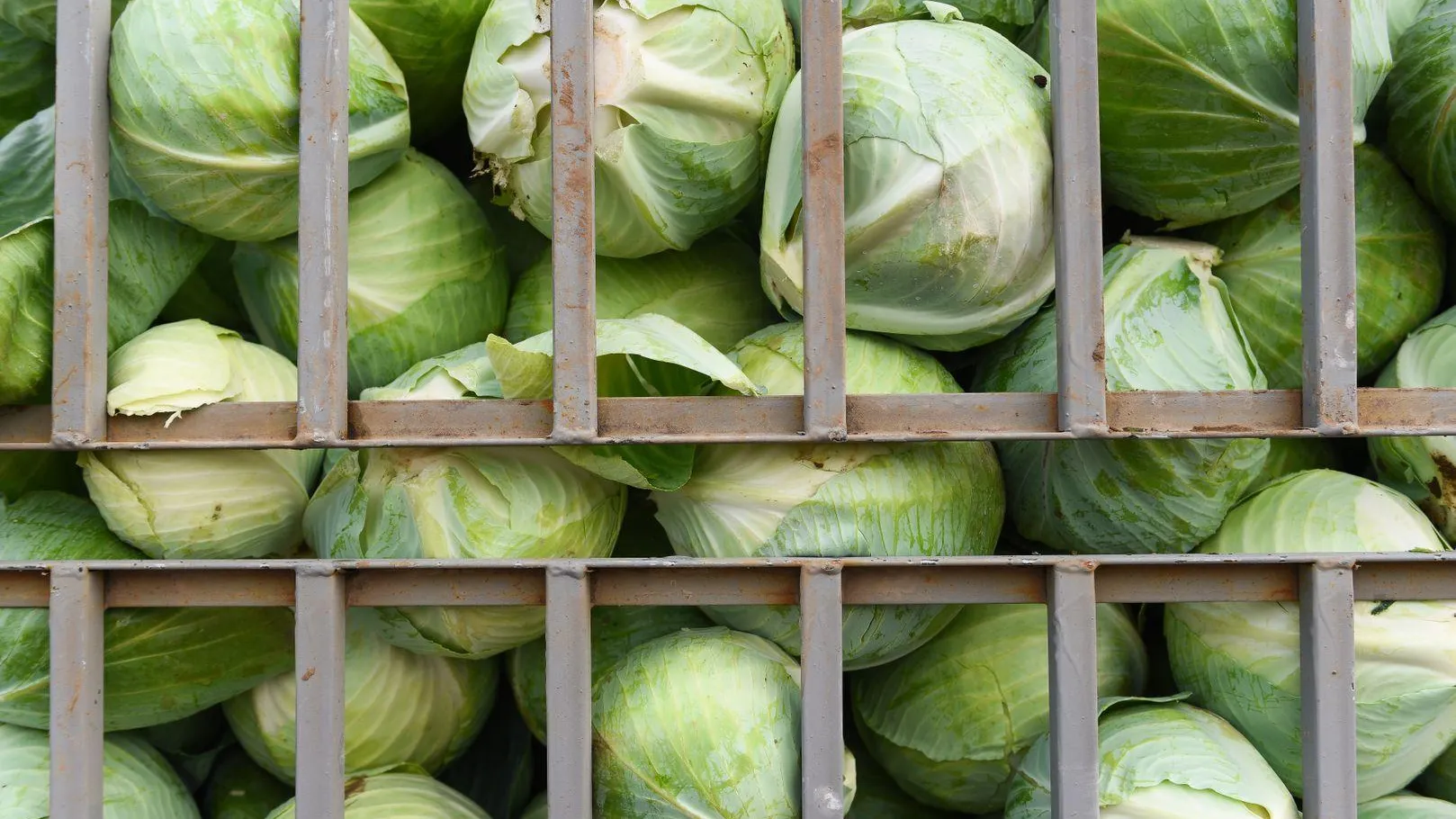 Медиасток.рф