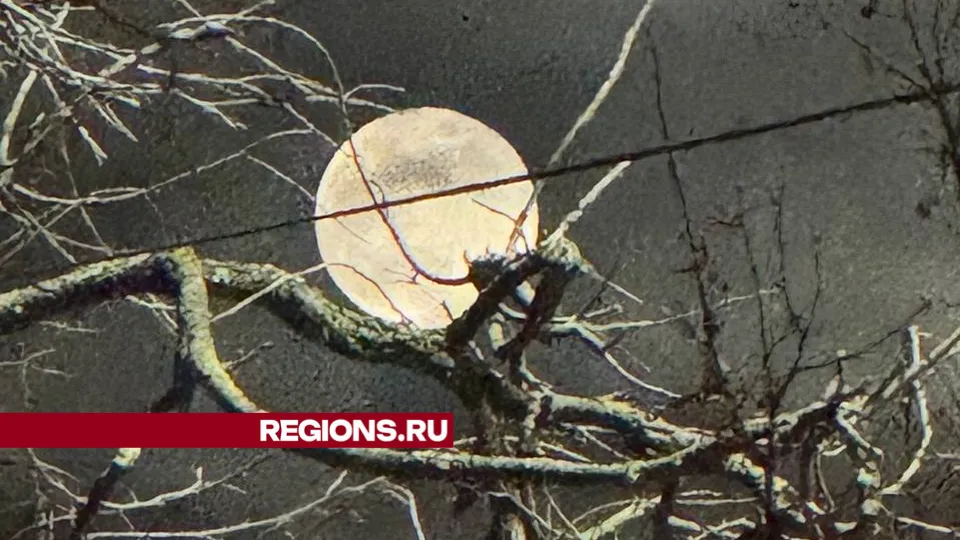 Фото: Михаил Моисеев