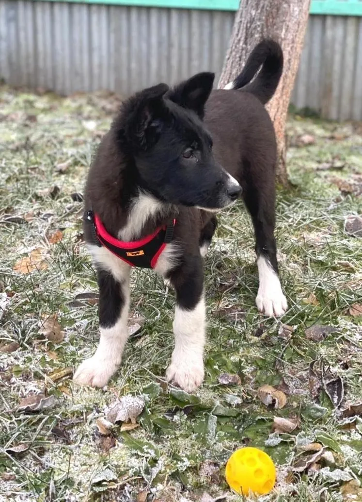 Фото: Подслушано на Глебовке (новая) / ВКонтакте