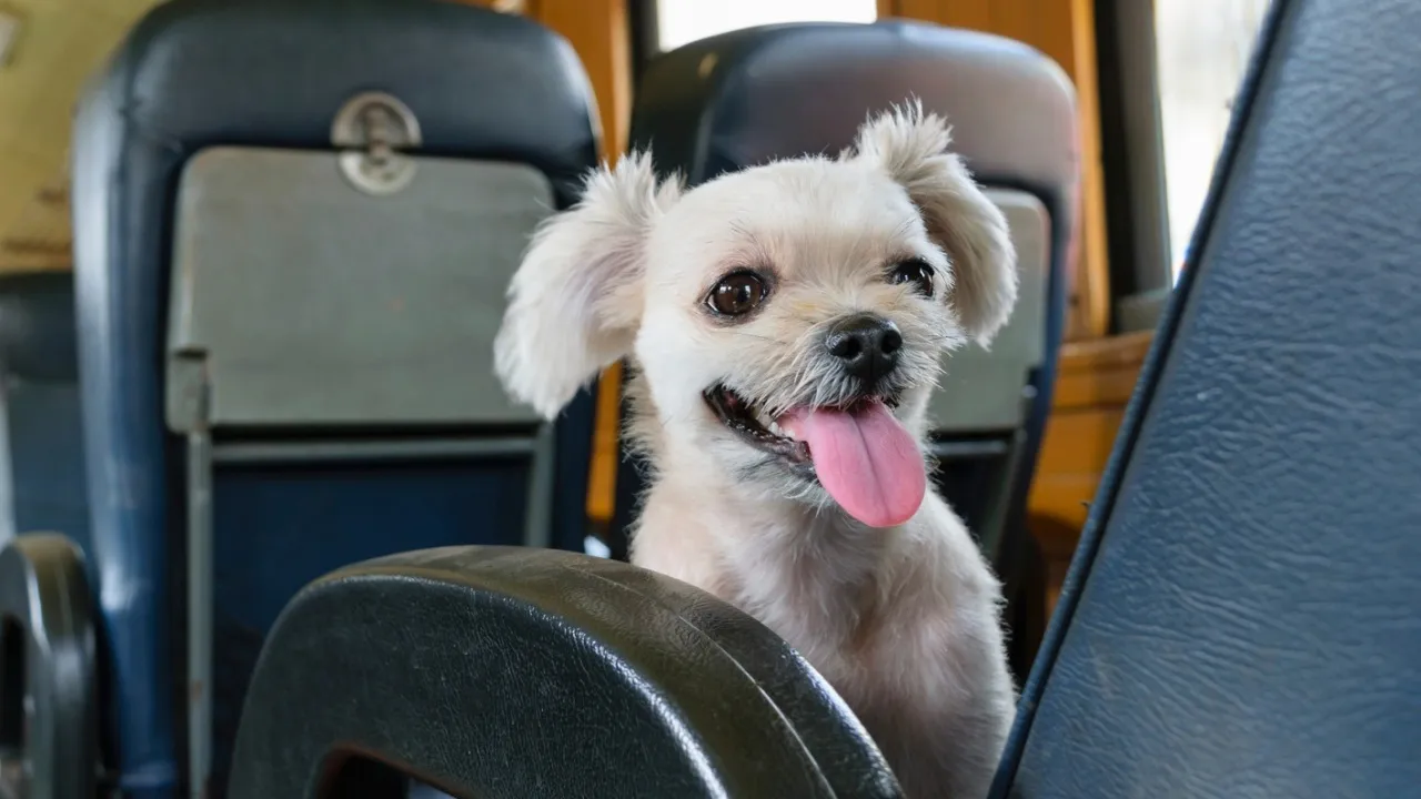 Фото: Медиаархив Подмосковья