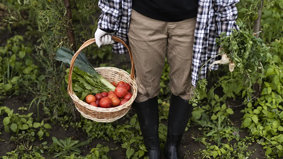 Фото: freepik.com