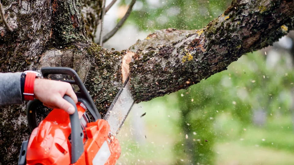 Фото: istockphoto.com