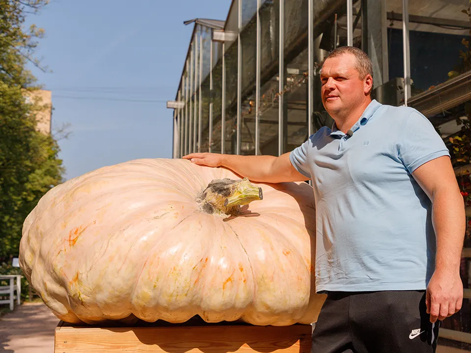 Фото: ТАСС/Сергей Петров