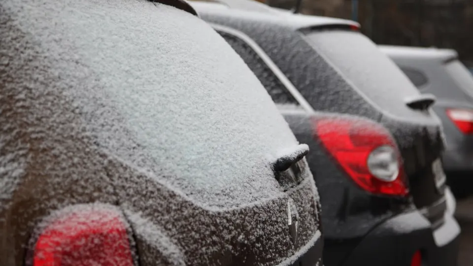 Фото: медиасток.рф