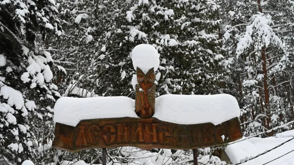 Фото: пресс-служба администрации г.о. Серпухов