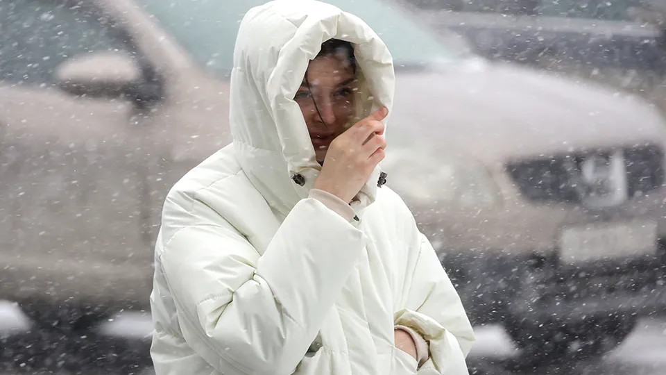 Фото: ТАСС/Кирилл Кухмарь