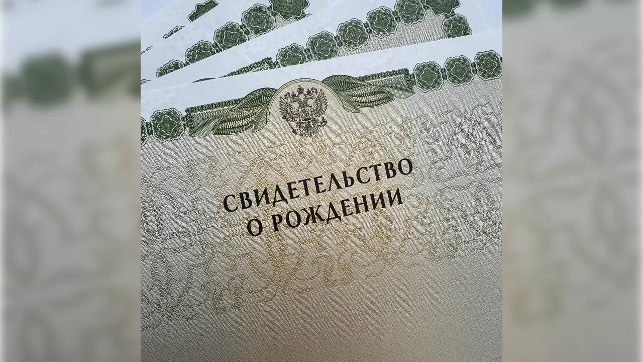Фото: Главное управление ЗАГС Московской области